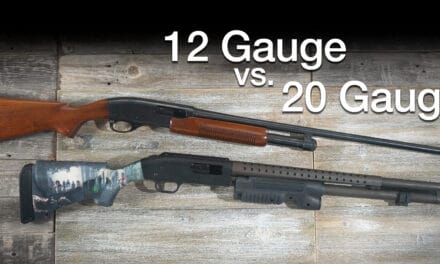 Comparing 12 Gauge vs 20 Gauge