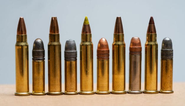 17 HMR vs 22 LR - Rimfire Round-Up