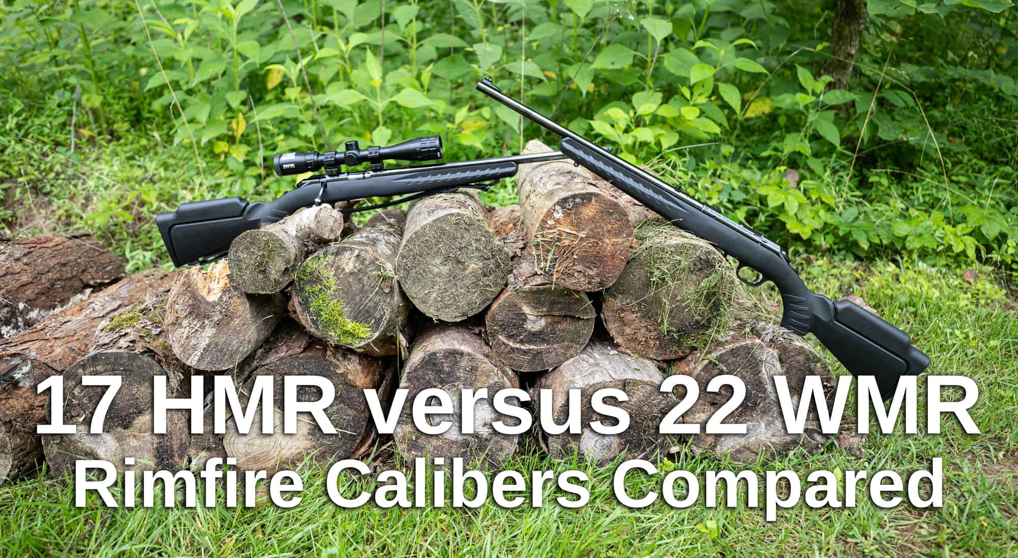 17 HMR vs 22 WMR - AmmoMan School of Guns Blog