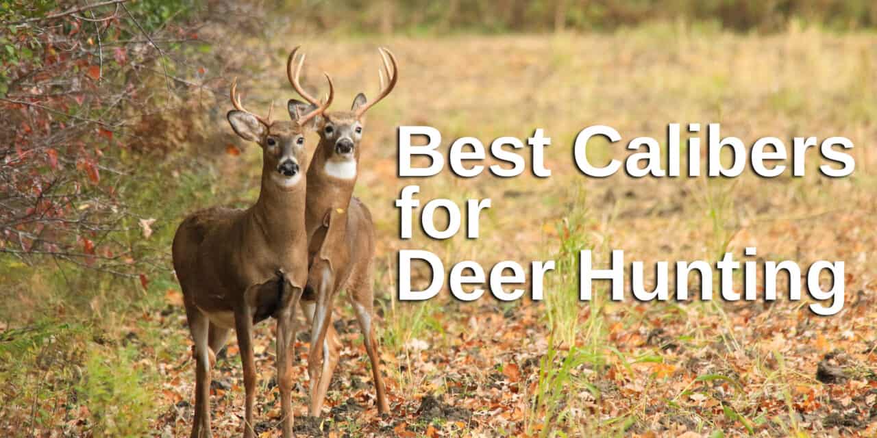 The Best Deer Hunting Caliber - A Guide