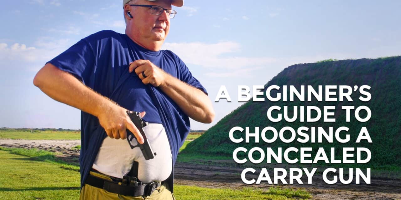 Concealed Carry Gun